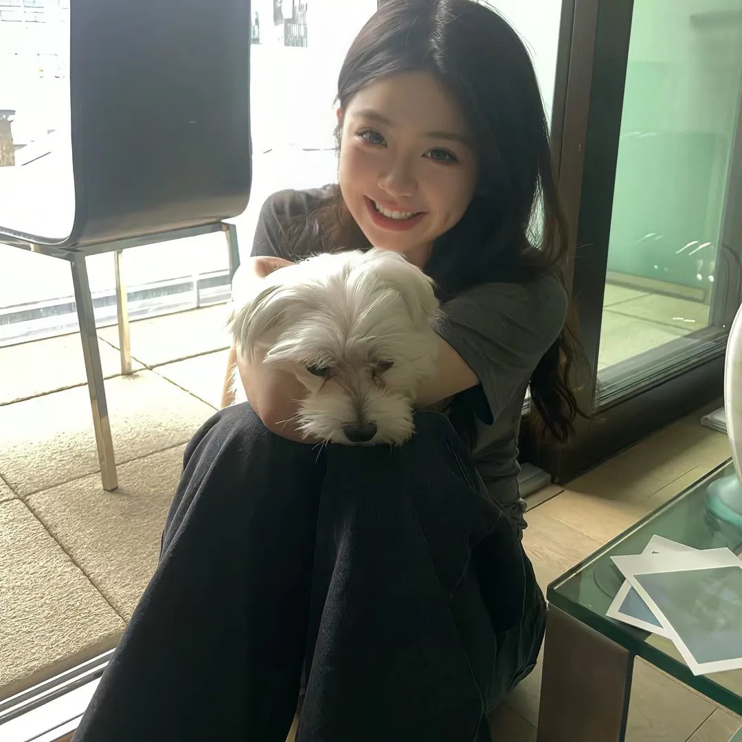 卡美拉对大恶兽基龙